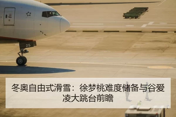 冬奥自由式滑雪：徐梦桃难度储备与谷爱凌大跳台前瞻