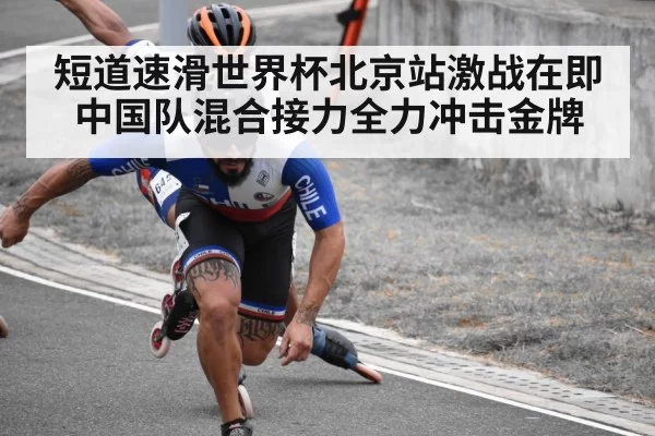 短道速滑世界杯北京站激战在即 中国队混合接力全力冲击金牌