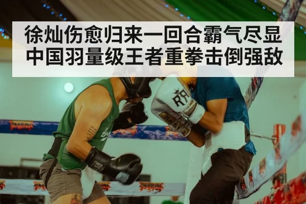 徐灿伤愈归来一回合霸气尽显 中国羽量级王者重拳击倒强敌
